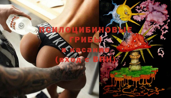 МДПВ Алексин