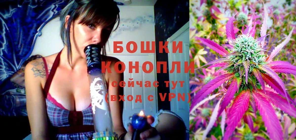 шишки Алексеевка