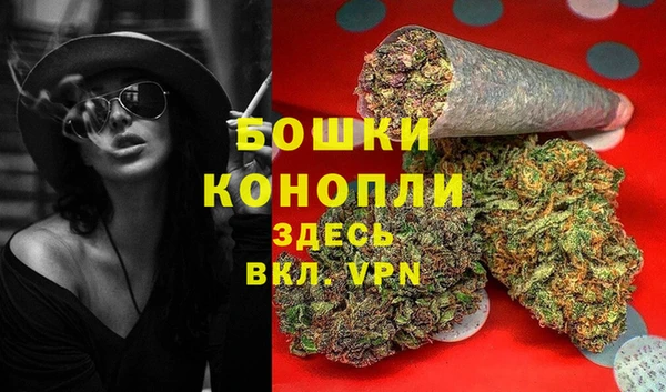 шишки Алексеевка