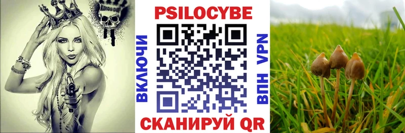Галлюциногенные грибы MAGIC MUSHROOMS  Николаевск 